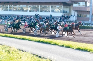 À Feurs et Saint-Galmier, les hippodromes toujours dans la course
