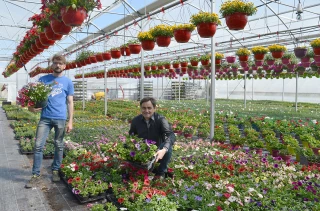 Vernet Horticulture : retour aux plaisirs essentiels