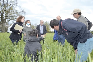 Marier qualité des eaux et résilience de l’agriculture