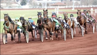 L’événement « Les Hippodromes en fête » fait étape à Saint-Galmier