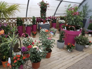 Les Floralies Maison Eyraud, des fleurs pour toutes les occasions