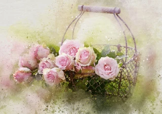 Des fleurs et un langage de toutes les couleurs