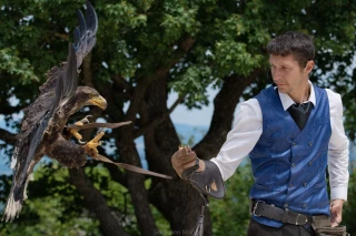 À la Volerie du Forez, envolez-vous au cœur des traditions !