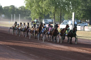 L’hippodrome de Feurs attire le public… et les pros !
