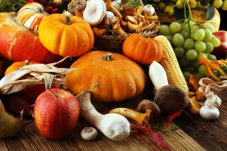 Qu'est-ce qu'on mange cet automne