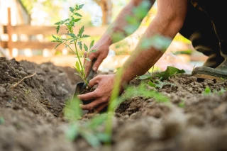 Qu’est-ce qu’on fait au potager en avril ?